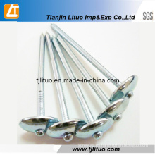 9g 2.5 pulgadas galvanizado Umbrella Roofing Nails